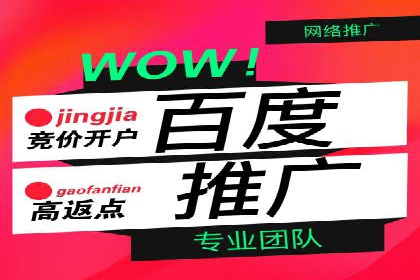 百度推广运营实战经验分享：成功案例盘点