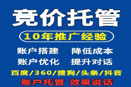 行业领先的SEM投放效果案例解析